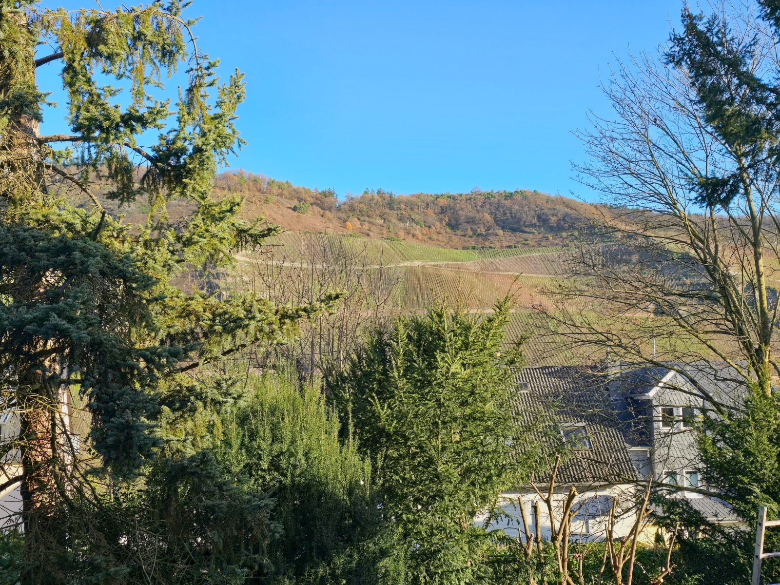 Ausblick Garten und EG