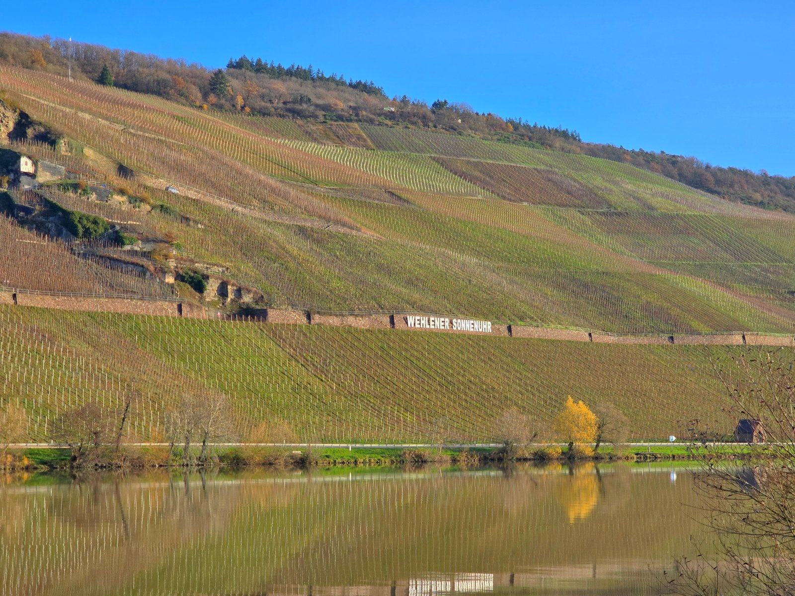 Wehlener Sonnenuhr mit Mosel