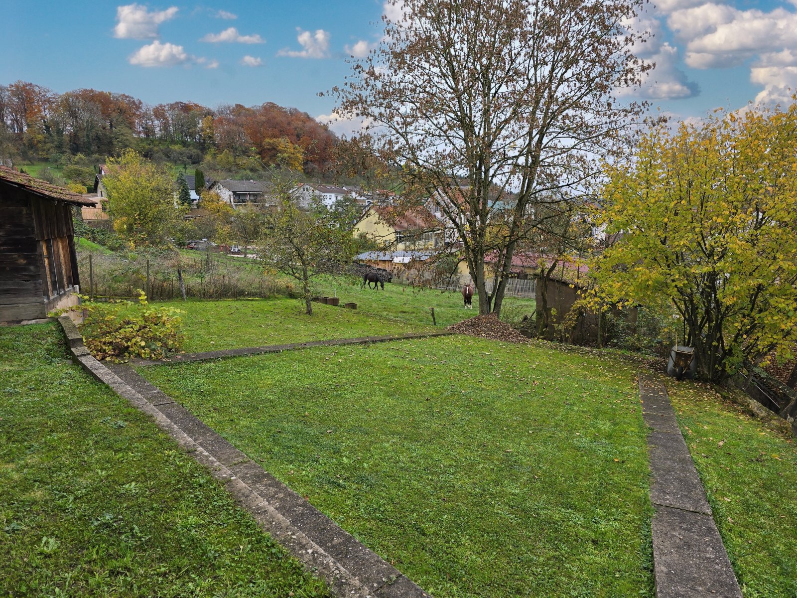 herbstlicher Garten mit Pferden in der Nachbarschaft